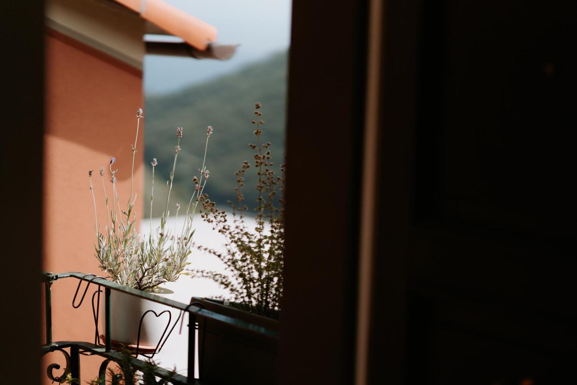 Il Castagno Holiday Home Teriasca Eksteriør billede